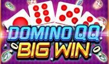 Domino QQ Big Win